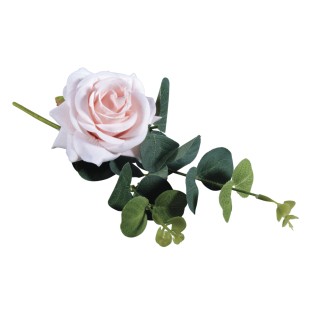 Rose Pick with Eucalyptus rosé