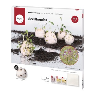Bombes à graines / Seedbombs kit de bricolage