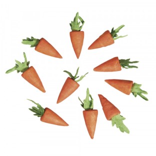 lot de 10 carottes en ouate