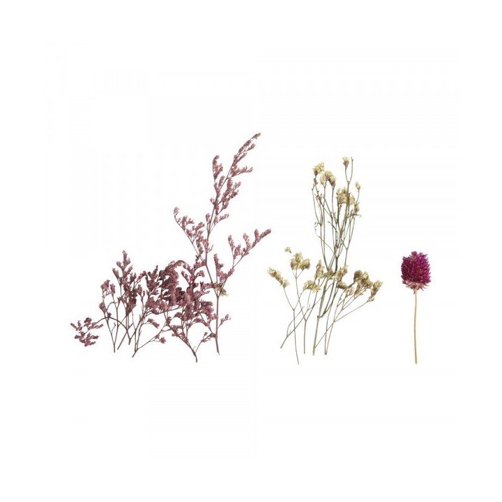 Mini Dried Flowers Pale Pink & White