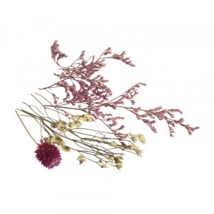 Mini Trockenblumen zartrosa & weiss