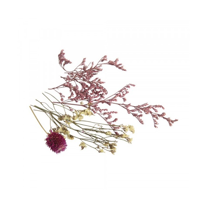 Mini Trockenblumen zartrosa & weiss