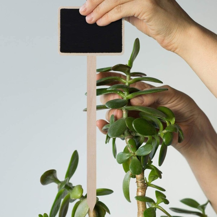 10 pièces d'étiquettes de plantes en bois avec manche