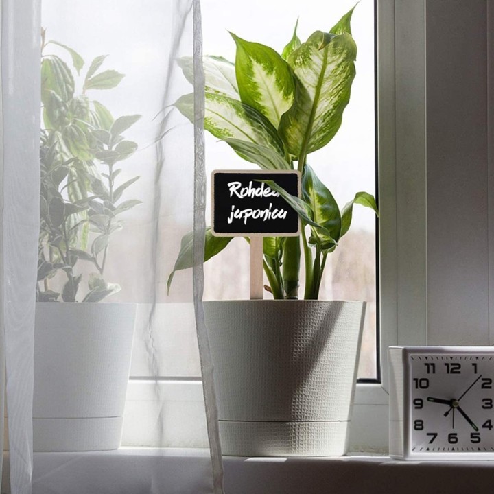 10 pcs wooden plant labels with stem