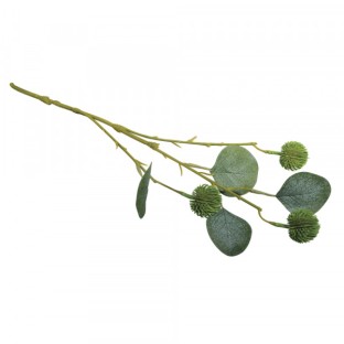 Branche d'eucalyptus avec fruits plastique vert