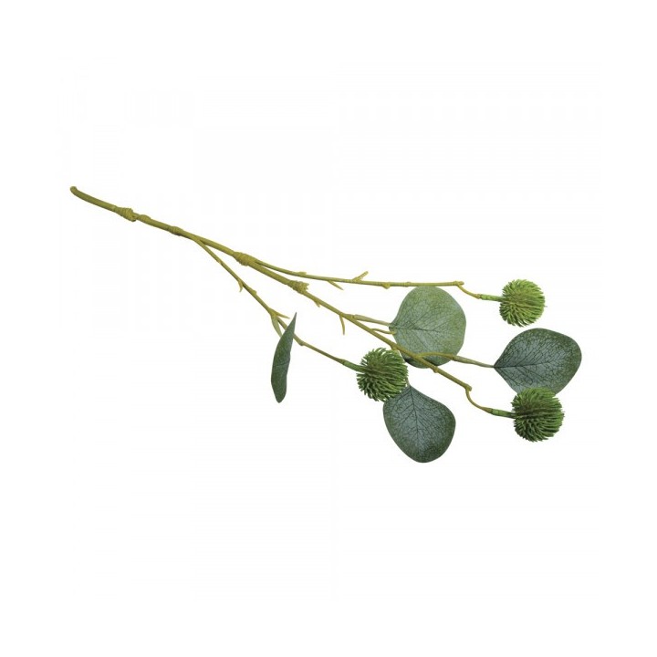 Branche d'eucalyptus avec fruits plastique vert