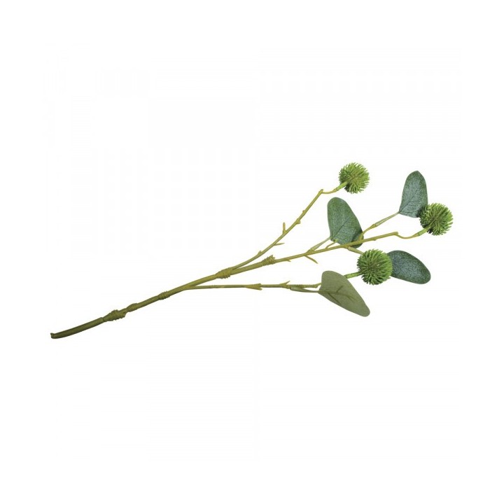 Eucalyptus branch with fruits plastic green
