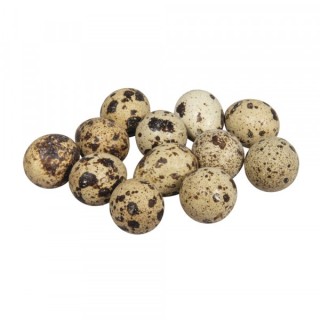 Decorative blown quail eggs 12 pcs.