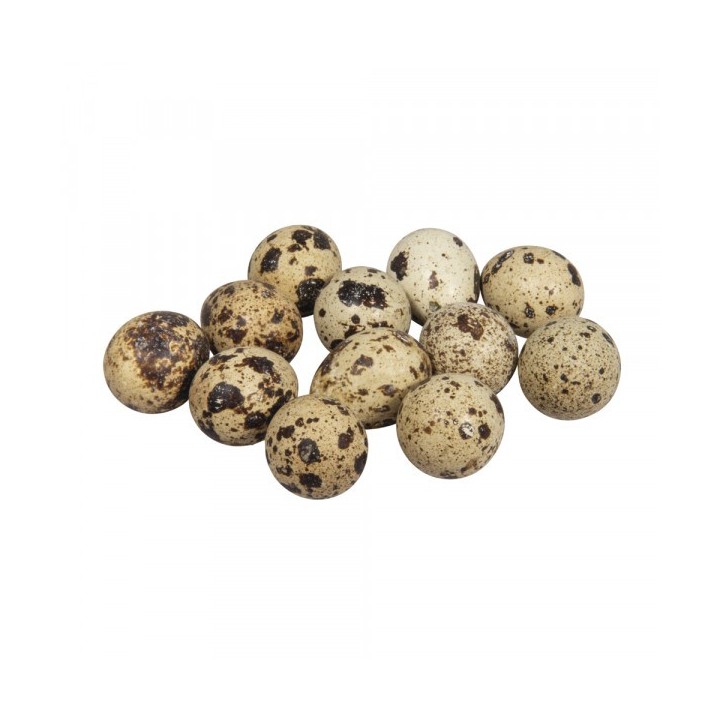 Décoration oeufs de caille soufflés 12 pcs