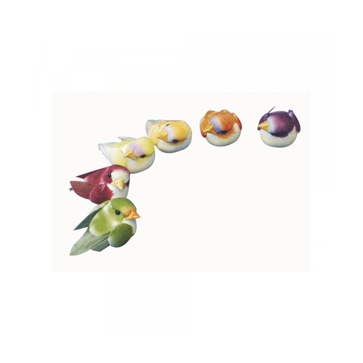 Déco oiseau champignon mélangé 6 pcs