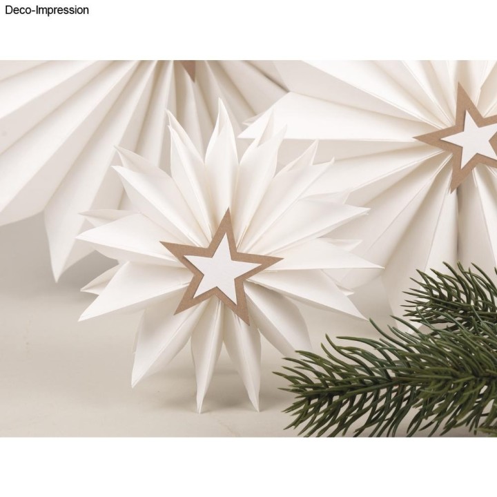 Rayher 3D Papiersterne Set Weiss