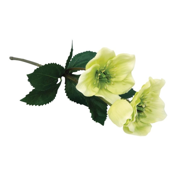 Rayher Christmas roses plastic lime green