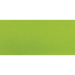 Rayher papier de soie vert maison 5 feuilles