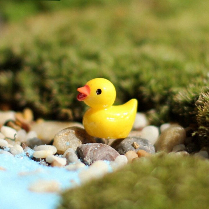 Mini ducks for micro landscapes 5 pcs.yellow