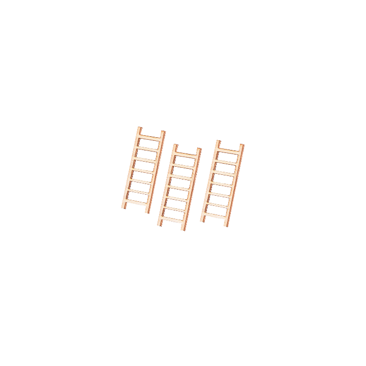 Mini échelles en bois pour micro-paysages 5 pcs.