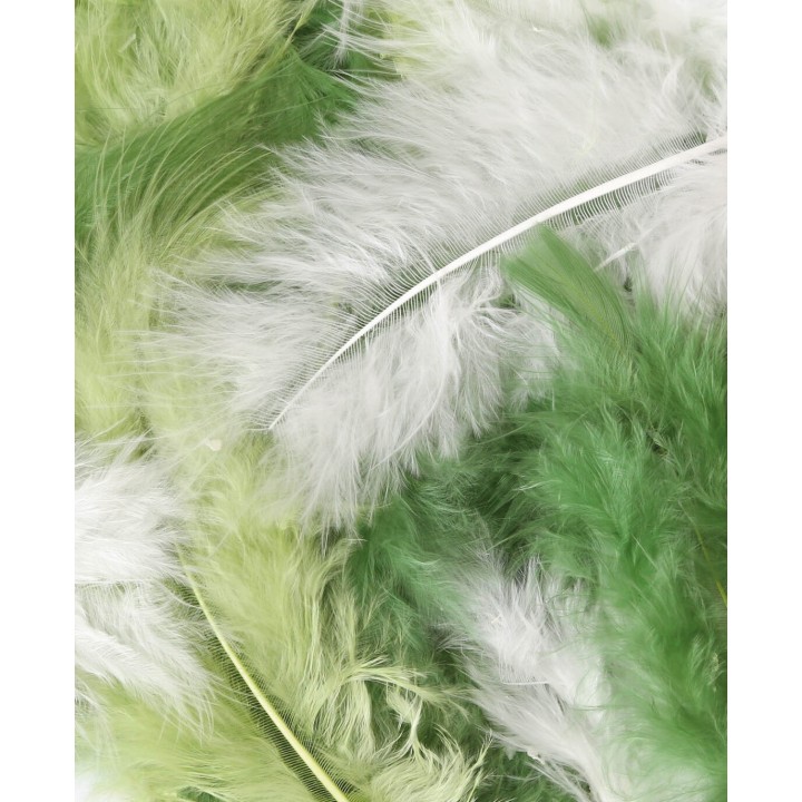 Mélange de plumes, tons verts