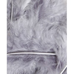 Feathers Mix grey tones