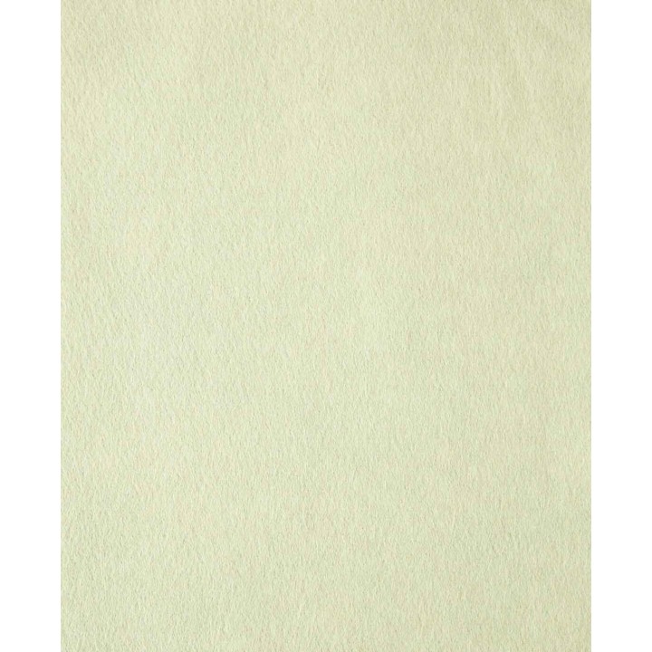 Feutre de qualité 20x30cm x 1mm vert pastel 1 pc