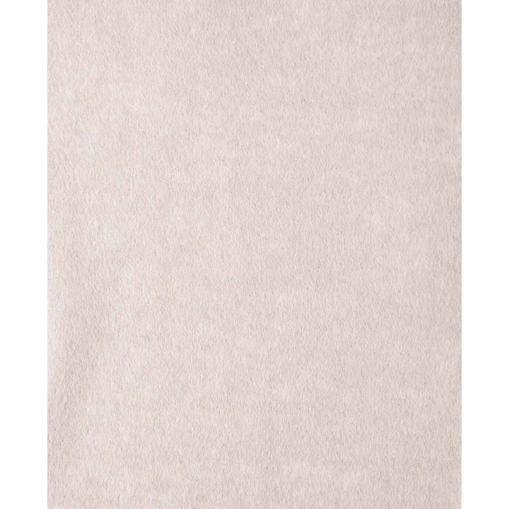 Qualitätsfilz 20x30cm x 1mm Beige 1 Stk.