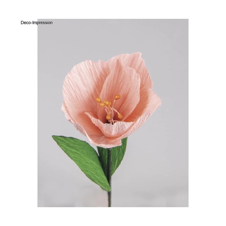 Rayher Krepppapier Blumen Set Bunt