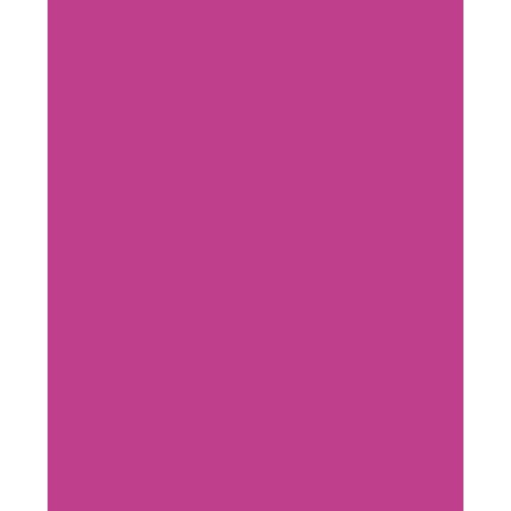 KREUL Peinture pour fenêtres à base d'eau rose 80ml