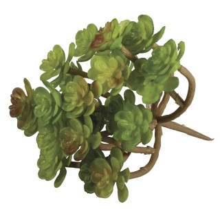Sukkulente Sedum Kunststoff