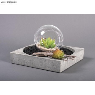 Mini Succulent Echeveria Plastic