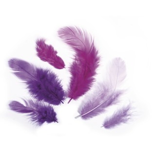 Mélange de plumes violet 10g