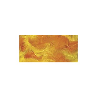 Mélange de plumes jaune 10g