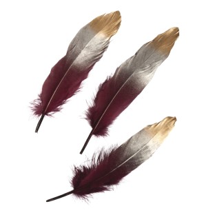 Feathers with silver-gold gradient bordeaux 3 pcs.