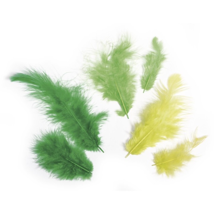 Mélange de plumes vert 10g